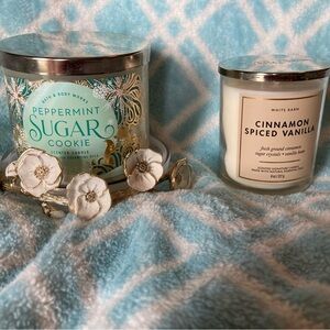 NWT 2 new candles and holder